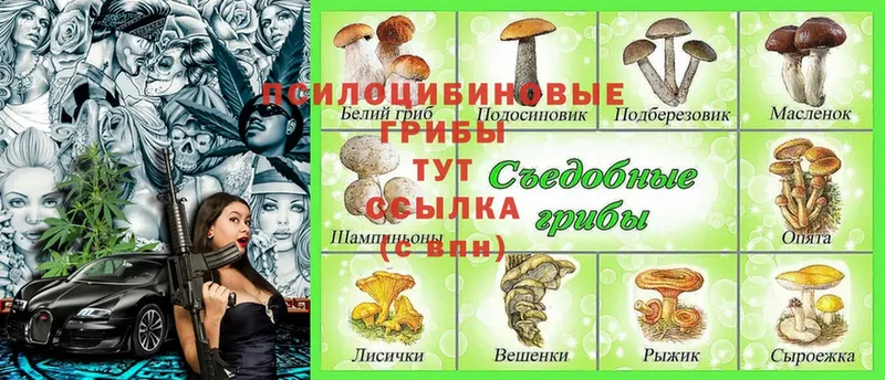 Галлюциногенные грибы MAGIC MUSHROOMS  Кузнецк 